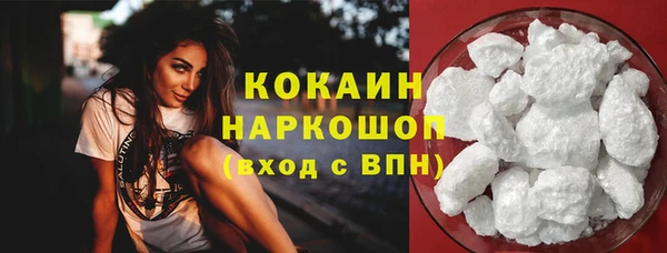 гидра Шарыпово