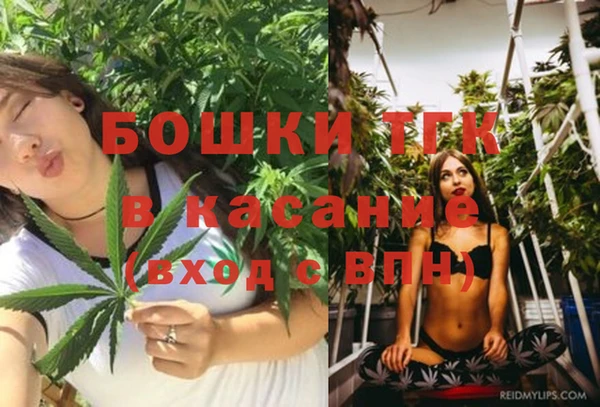 прущие грибы Алексеевка