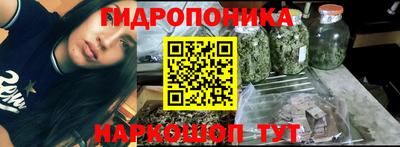 гидра Апрелевка