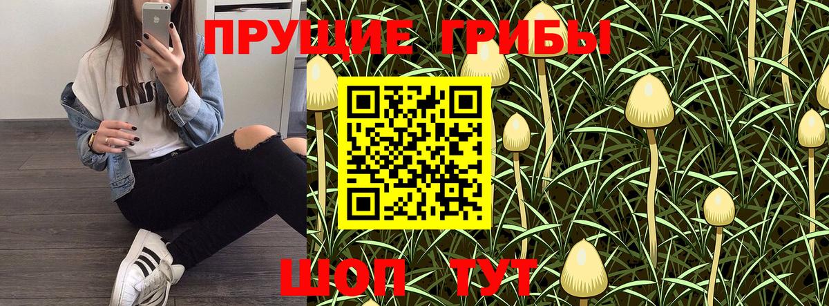 Апрелевка  Галлюциногенные грибы MAGIC MUSHROOMS  Галлюциногенные грибы Magic Shrooms  Вход с VPN 